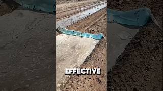 Incredible Method of Water Irrigation shorts [upl. by Shetrit]