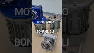 MOTOVARIO BONFIGLIOLI 모토바리오 본피글로리 프리미엄 모터 웜감속기 [upl. by Ysset325]