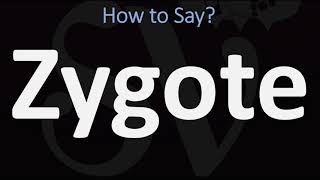 How to Pronounce Zygote CORRECTLY [upl. by Eglanteen977]