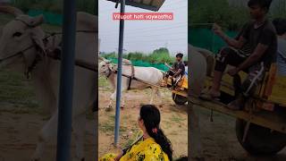 Bullock cart riding shorts minivlogs funny [upl. by Genesa]