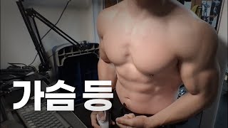 40대 직장인  헬스 홈트 Home Gym  가슴 등 24124 [upl. by Mcclimans745]