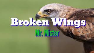 Broken Wings Lyricsby Mr Mister [upl. by Garreth94]