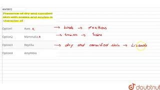 Presence of dry and cornified skin with scales and scutes is character of [upl. by Arym]