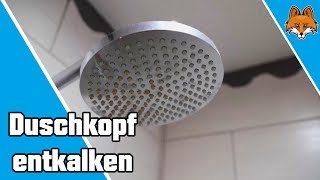 Duschkopf entkalken mit Essig 🚿 [upl. by Denna]