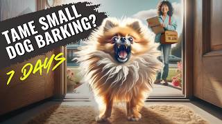 Can You REALLY Tame Your Small Dog Barking in 7 Days [upl. by Bremen]