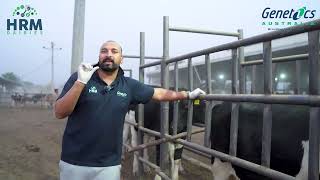 Live genomic testing at HRM Dairies Pvt Ltd  Watch Full tutorial with CEO Muddassar Hassan Hass [upl. by Dottie]