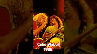 Van Halen ❤️ Cabo Wabo OU812  1988 jeffowens5150 [upl. by Nomead158]