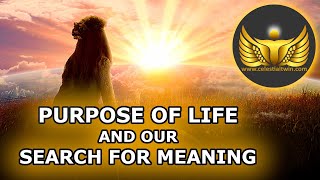 The Purpose of Life and Our Search for Meaning [upl. by Ryan]