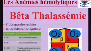 Béta Thalassémie Physiopathologie de lAnémie hémolytique et Traitement [upl. by Lamok]