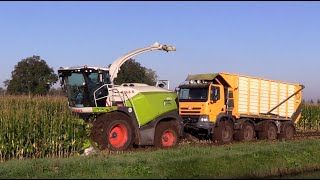 Maïs 2024  Ketting strak is gebak  Tatra 8x8JD en Fendt vastgereden  Markvoort  Wet harvest [upl. by Bonar]