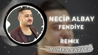 Necip Albay  Fendiye Numan Karaca Remix [upl. by Candy]