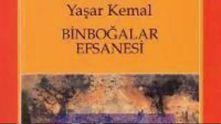 Yaşar kemal🌺Binboğalar efsanesi PART 1 SESLİ KİTAP книга roman yaşarkemal binboğalarefsanesi [upl. by Ahsemaj]