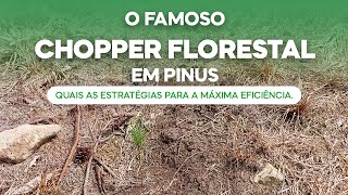 O famoso CHOPPER FLORESTAL em Pinus Quais as estratégias para a máxima eficiênciav187 [upl. by Tnahs887]