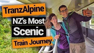 🚂 TranzAlpine Train The Most Scenic New Zealand Train Journey – New Zealands Biggest Gap Year [upl. by Corotto303]