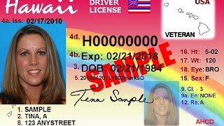 Veterans designation available for driver’s license state ID [upl. by Cinelli682]