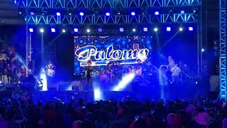 Grupo Palomo en vivo Feria Moroleón Gto 2024 [upl. by Lundell530]