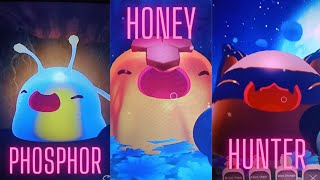 Slime Rancher Ep 4  Gordo Hunting [upl. by Seka]