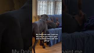 “Is this a good pose” doberman greatdane art french portrait dog puppy funny funnydogs [upl. by Macegan]