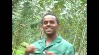 latest wollo music by ENDRIS HUSEIN አዲስ የወሎ ዘፈን በእንድሪስ ሁሴን [upl. by Carolann117]