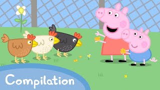 Pretty Polly The Parrot 🦜  Peppa Pig Official Full Episodes [upl. by Cote]