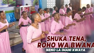 Shuka Tena Roho Wa Bwana by Neno La Imani [upl. by Occer181]