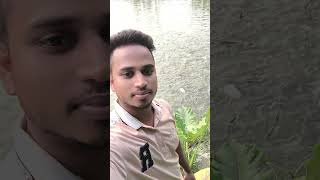 Pangas fish upto 34 kg per food taking moments short viralshort subscribe treanding reels [upl. by Gorman]