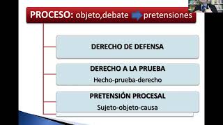 TEORÍA DEL CASO CIVIL Y LAS PRUEBAS EN EL PROCESO CIVIL ORAL POR AUDIENCIA [upl. by Odravde]