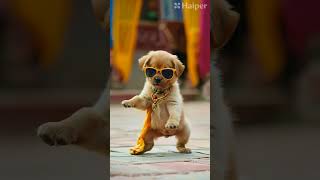 Pappy Dance viralvideo funny ai dog cute [upl. by Cornel]