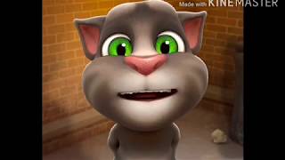 Cat comedy video amp Billi ki Comedy Cat comedy talking tom hindi video  Make joke [upl. by Adamis]