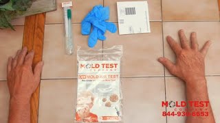 How Does a DIY Mold Test Work  Instructions  Mold Test Company [upl. by Yadahs]