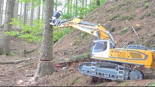 RC MEGA MACHINES IN ACTION STRONG RC IN THE WOODS [upl. by Johppah]