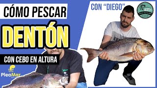 CÓMO PESCAR DENTONES con CEBO 📕En altura📗Con Diego de PLEAMAR Asturias [upl. by Burton586]