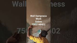 Wall Dampness Services Wall Waterproofing coating Contractors Wall Renovation Interior wall Painting [upl. by Adim]