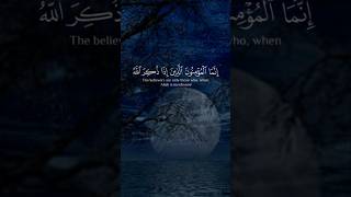 Beautiful quran recitation Abdul Wali Al Arkani🌹💔quranrecitation shorts [upl. by Adilen]