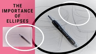 Beginners drawing tips  The importance of drawing ellipses [upl. by Hanahs]