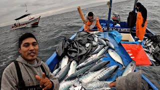 Mira la increíble pesca del PEZ BONITO en altamar [upl. by Senskell]