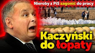 Kaczyński do łopaty Zagonić do pracy dorodnych pisowcówMjr wywiadu w stanie spoczynku Robert Cheda [upl. by Eema626]