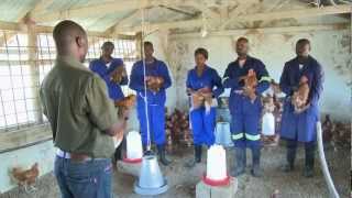 Making Knowledge Work  Zambia EN [upl. by Aryk]