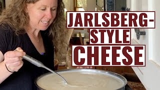 JarlsbergStyle Cheese  How To Make [upl. by Silvestro]