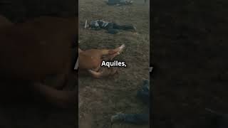 🛡️ Héctor vs Aquiles El Duelo que Marcó la Ilíada 🏰 culture shortsviral shorts history [upl. by Eittocs726]