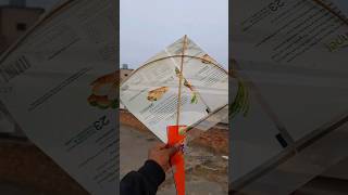 FLY A KITE CHALLENGE 😍 shorts pkcrazyexperiments [upl. by Cutlip]