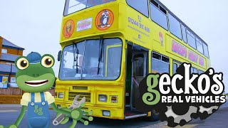 Gecko and the PARTY BUS  Geckos Real Vehicles  Educational Videos For Toddlers [upl. by Ahseenal]