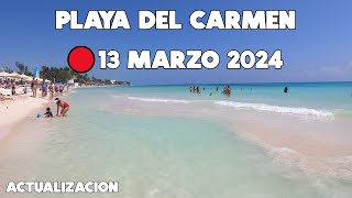 PLAYA DEL CARMEN HOY🔴13 MARZO 2024  PLAYA MAMITAS SIN SARGAZO [upl. by Merras]