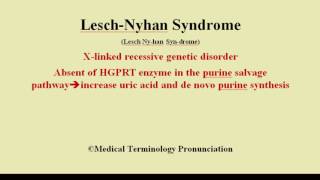 LeschNyhan Syndrome Pronunciation and definition  How to pronounce Lesch Nyhan Syndrome [upl. by Alyar720]