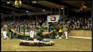 Cador 2005 by Catoki  Landor S Stallion Show Sosath 2012 [upl. by Rabassa]