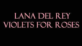 Lana Del Rey  Violets for Roses KaraokeInstrumental [upl. by Joete]