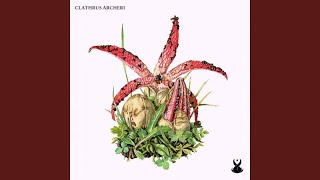 Clathrus Archeri [upl. by Wesle]