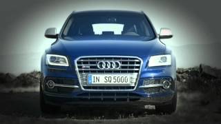 Neuer Audi SQ 5 [upl. by Adhamh]