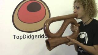 Compact SShape Didgeridoo Natural Mahogany TopDidgeridoo 02028 [upl. by Elin]