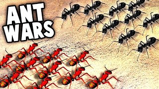 Red Ants Vs Black Ants  Full Movie in Hindi dubbed  Hd Movie [upl. by John245]